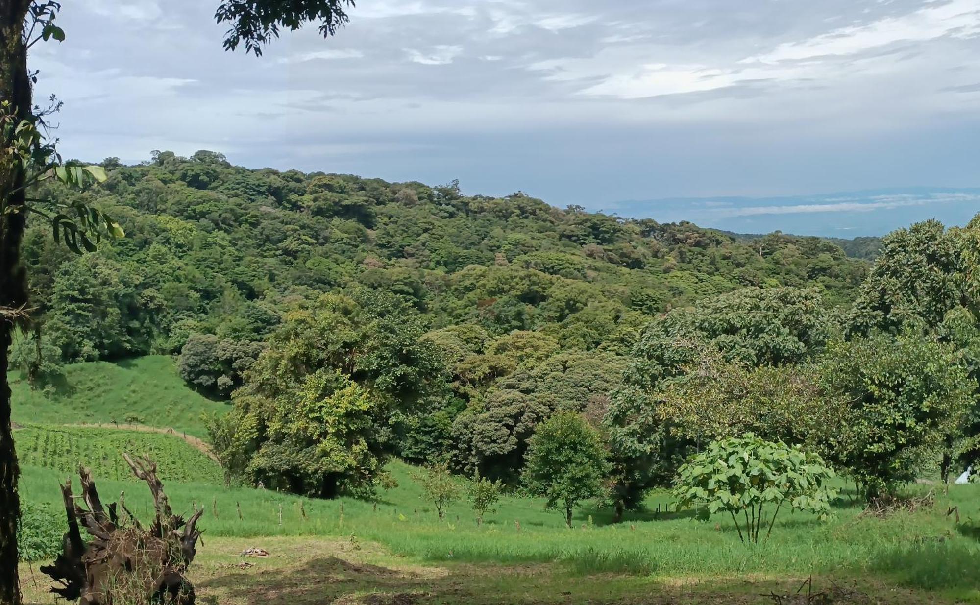 Athila Ecolove Holiday home Monteverde
