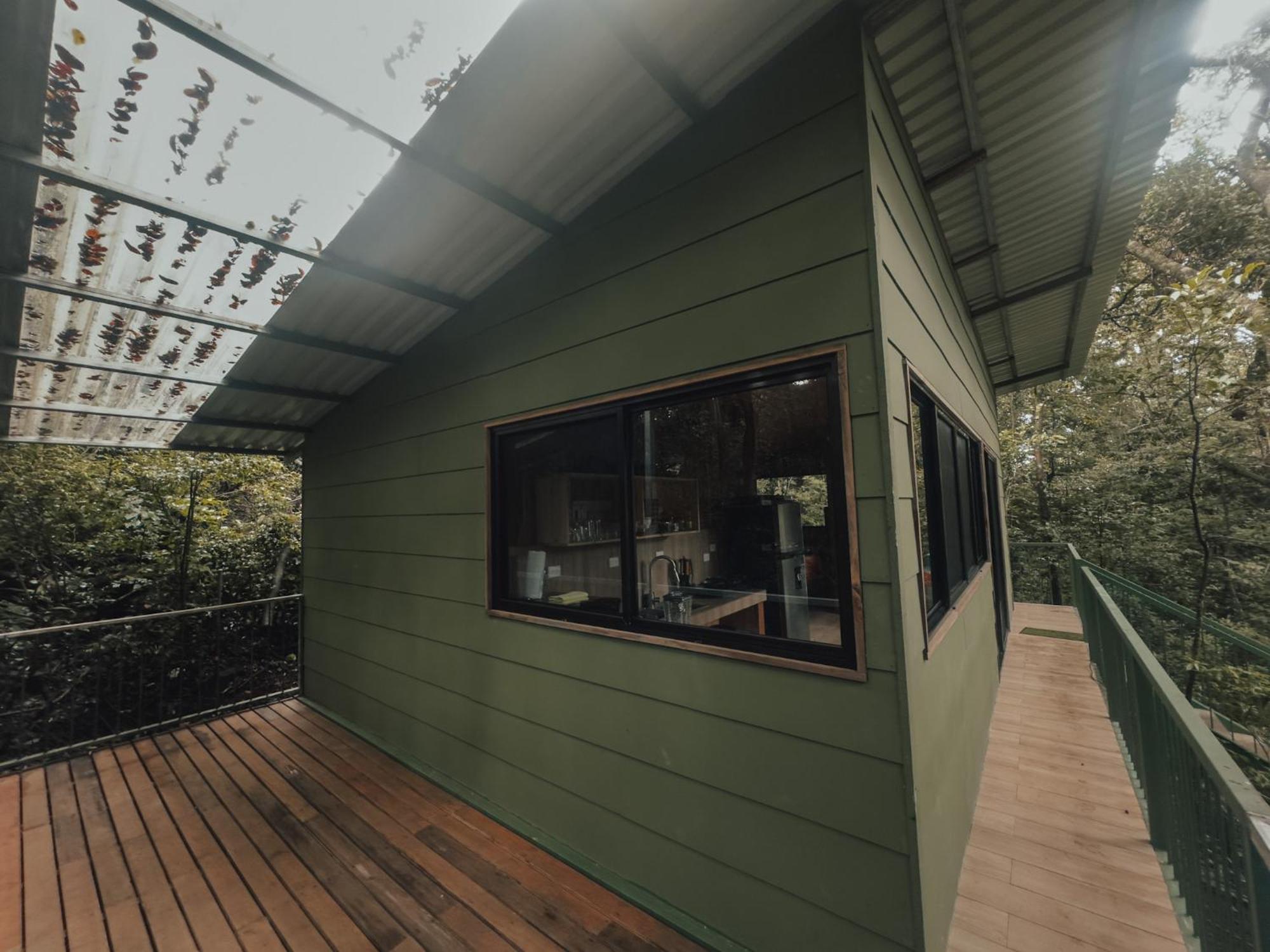 Tree House Bosque Nuboso *
