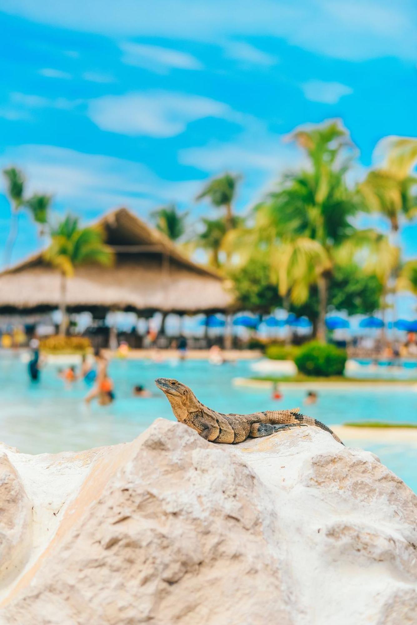 Fiesta All Inclusive Central Pacific - Costa Rica 5*