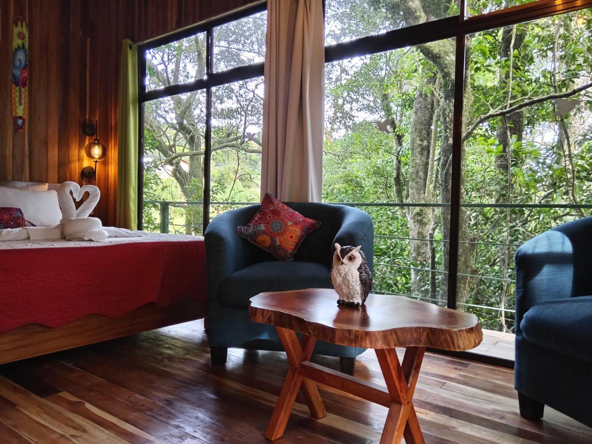 Jungle Living Tree * Monteverde