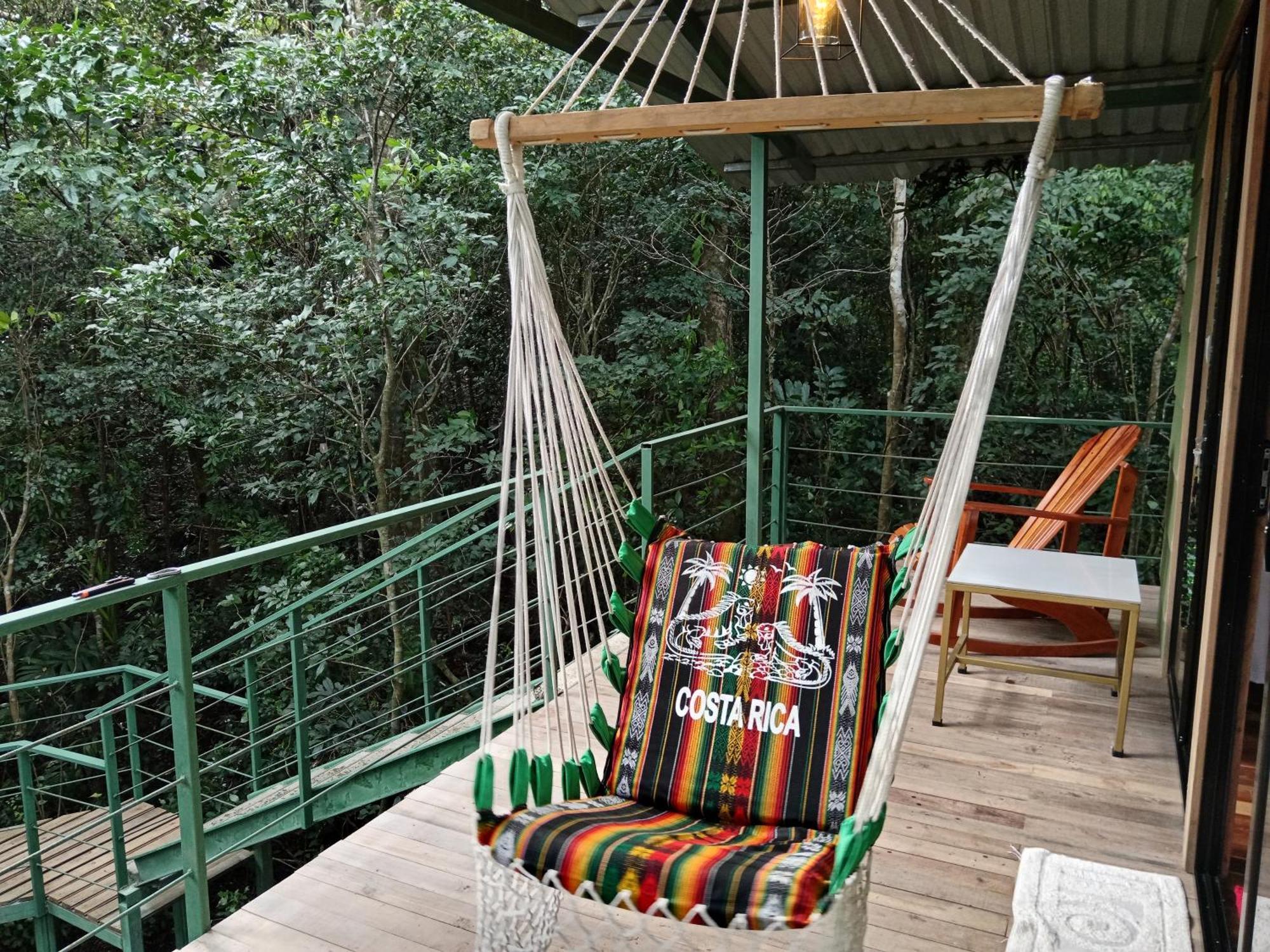 Jungle Living Tree * Monteverde