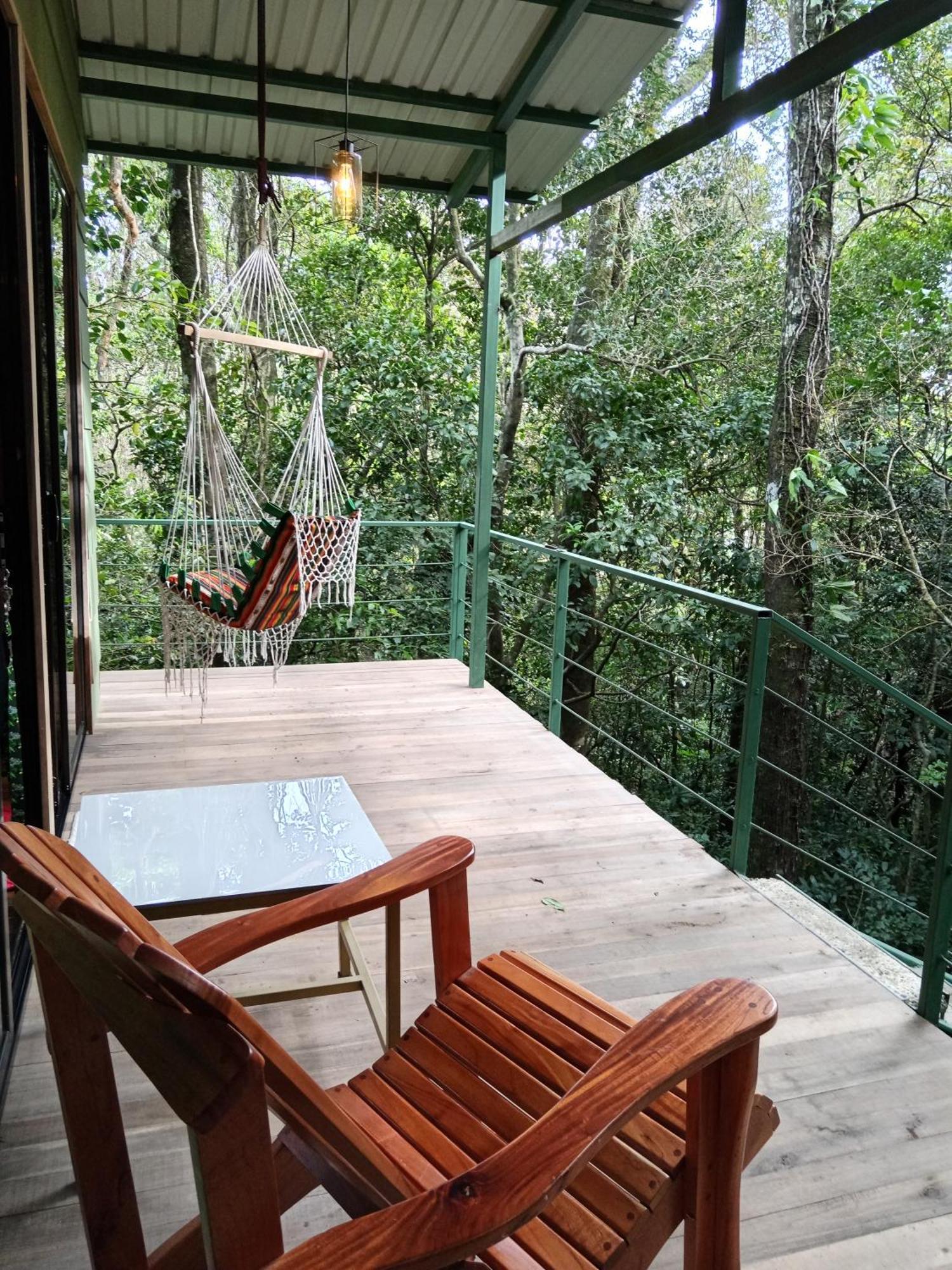 Jungle Living Tree
