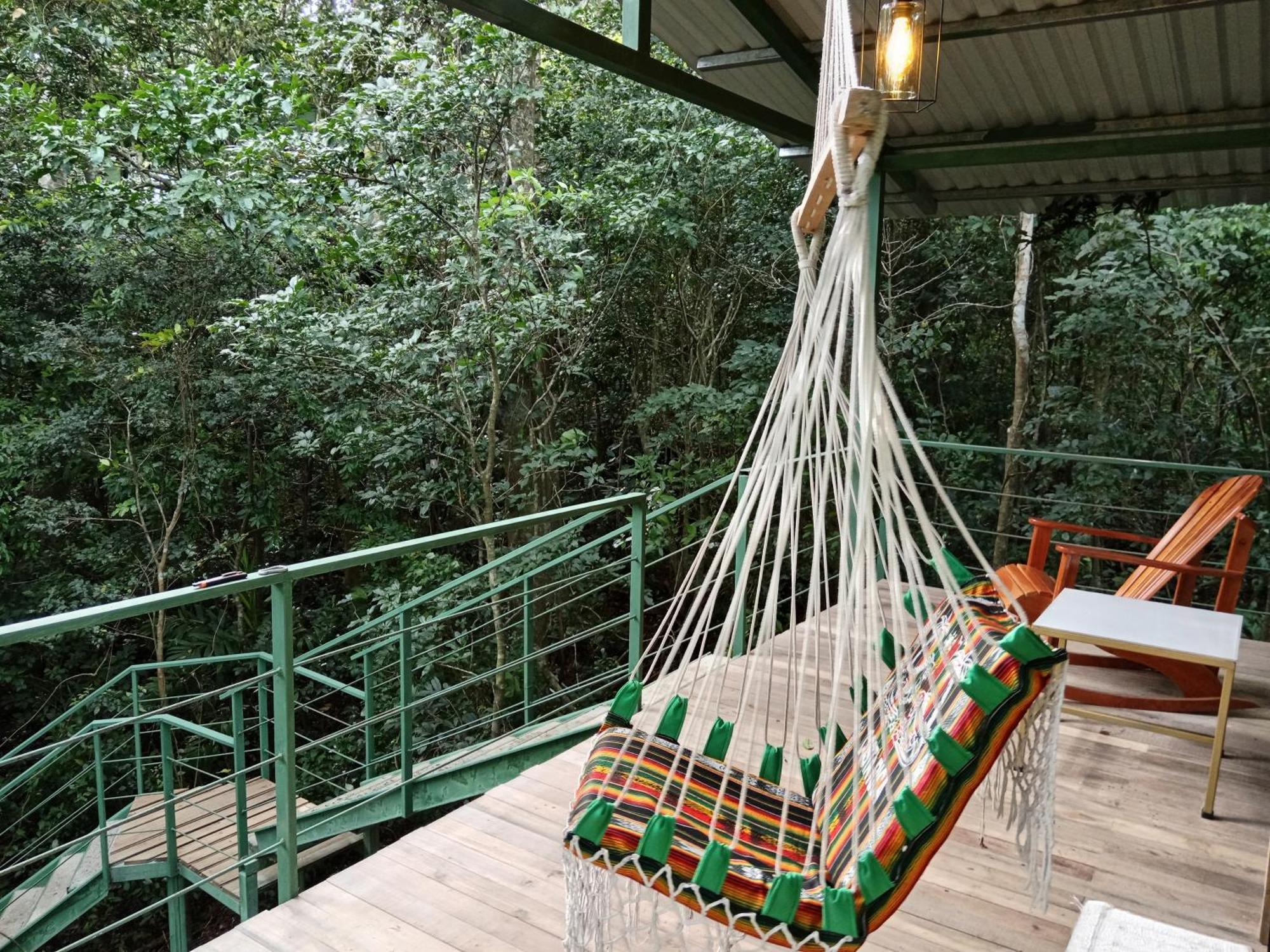 Jungle Living Tree Lodge *