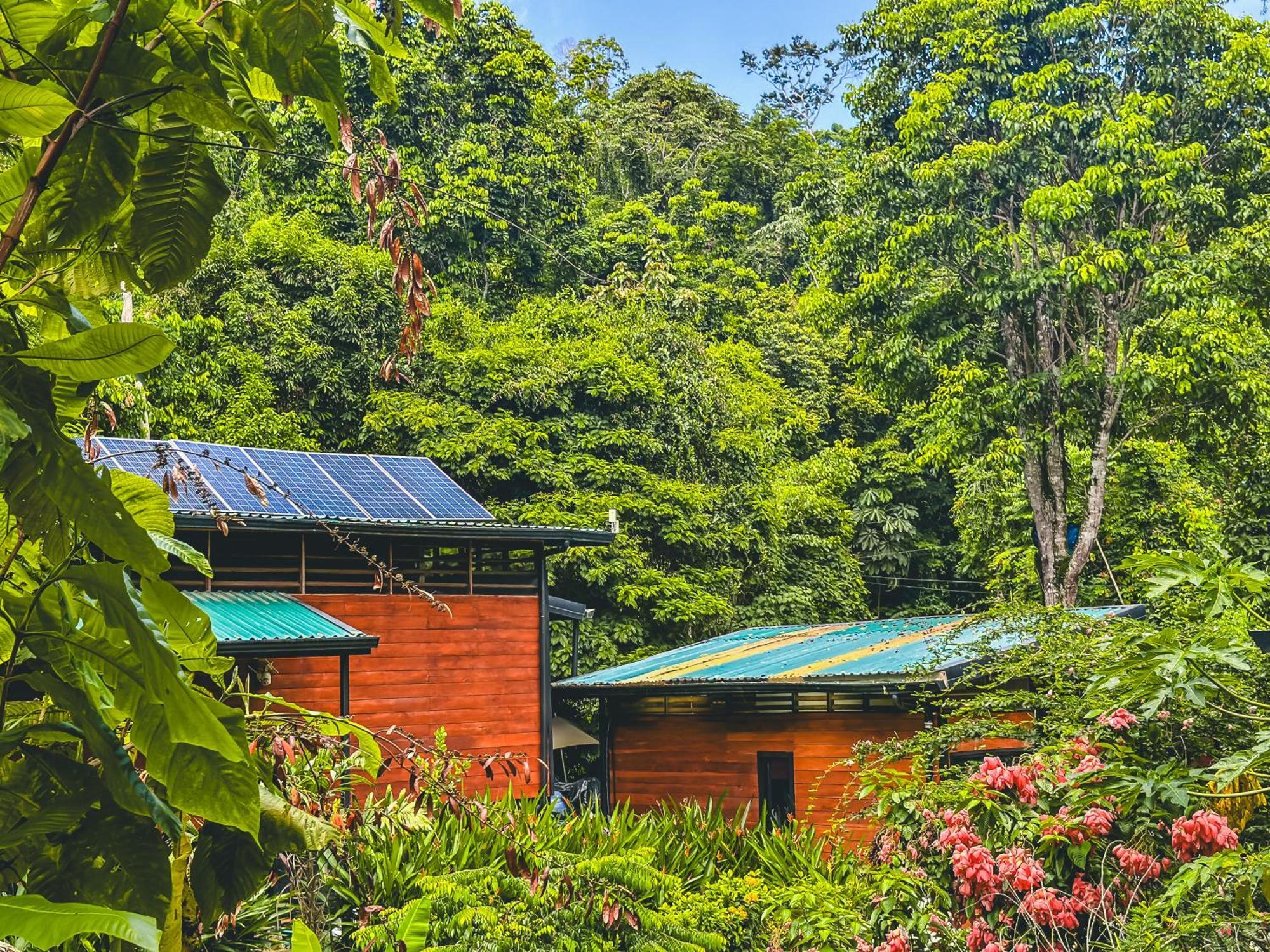 Selva Madre Eco-sanctuary * Cahuita