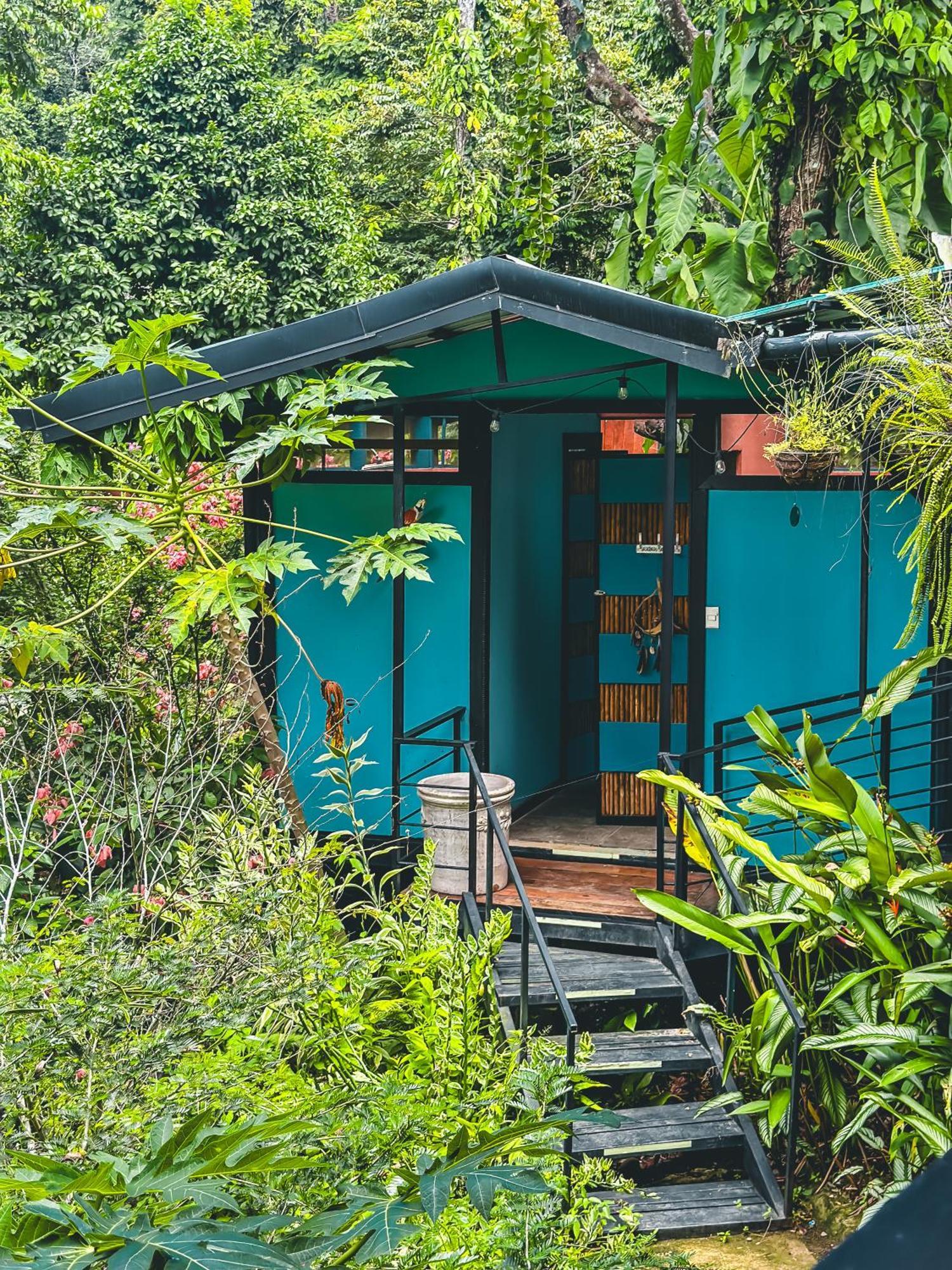 Selva Madre Eco-sanctuary
