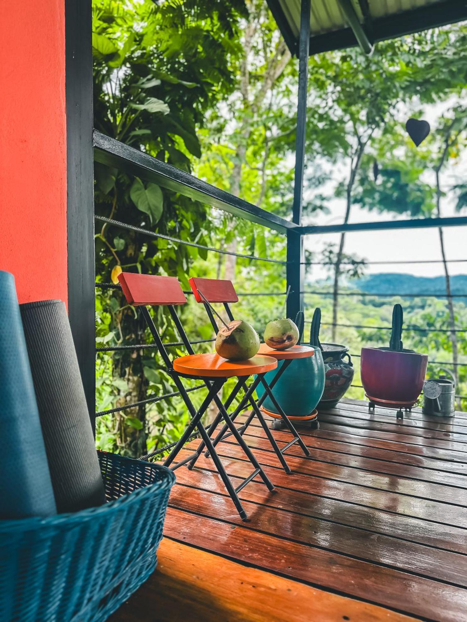 Selva Madre Eco-sanctuary Aparthotel