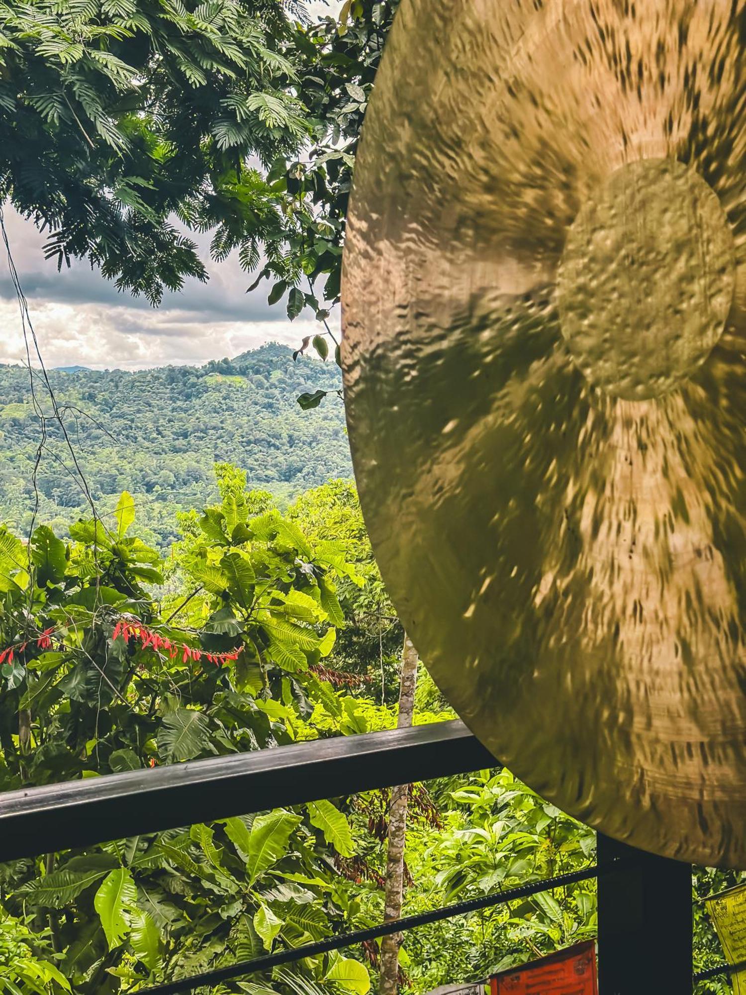 Selva Madre Eco-sanctuary Cahuita