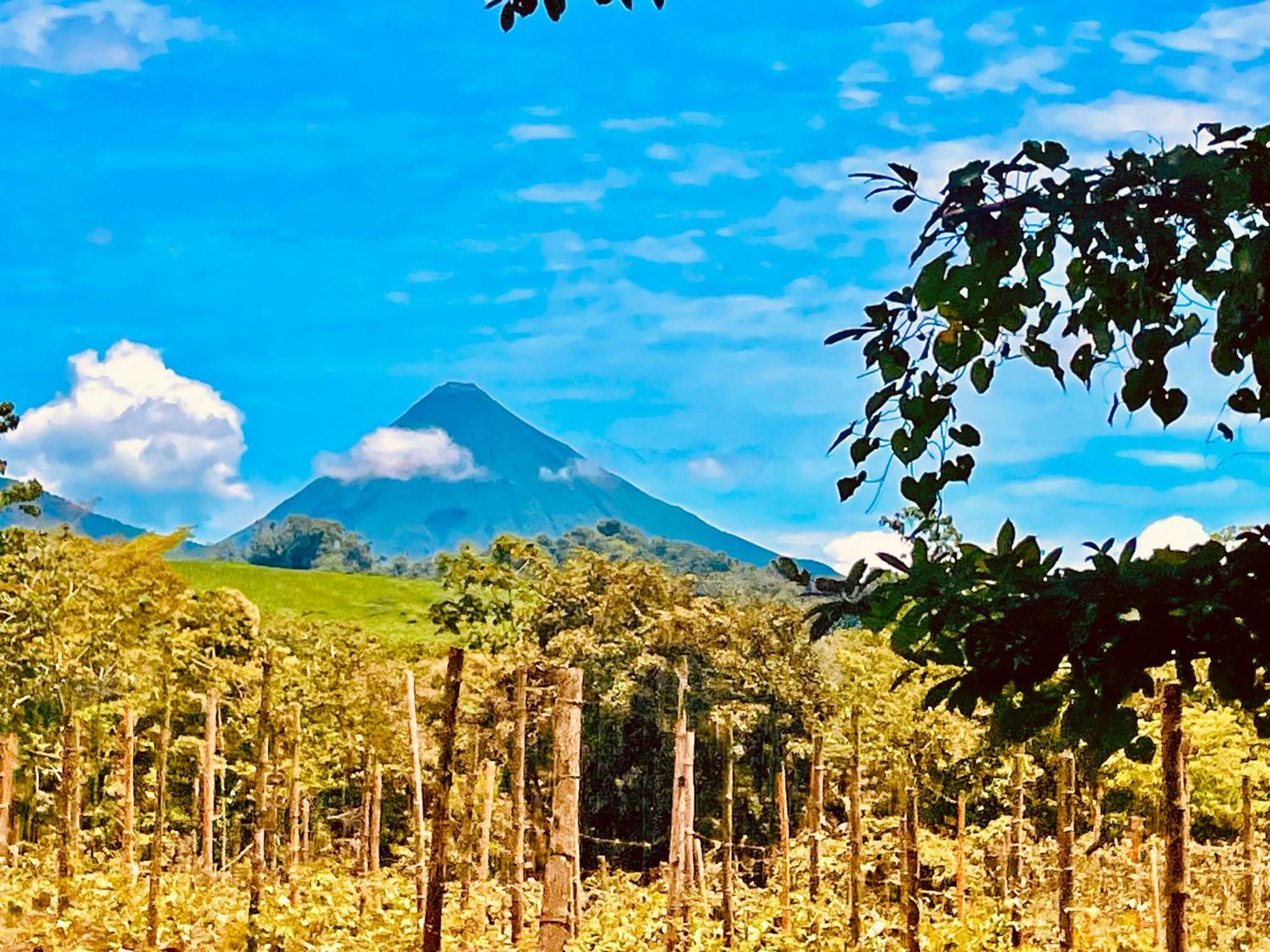 Tierra De Volcanes Hotel