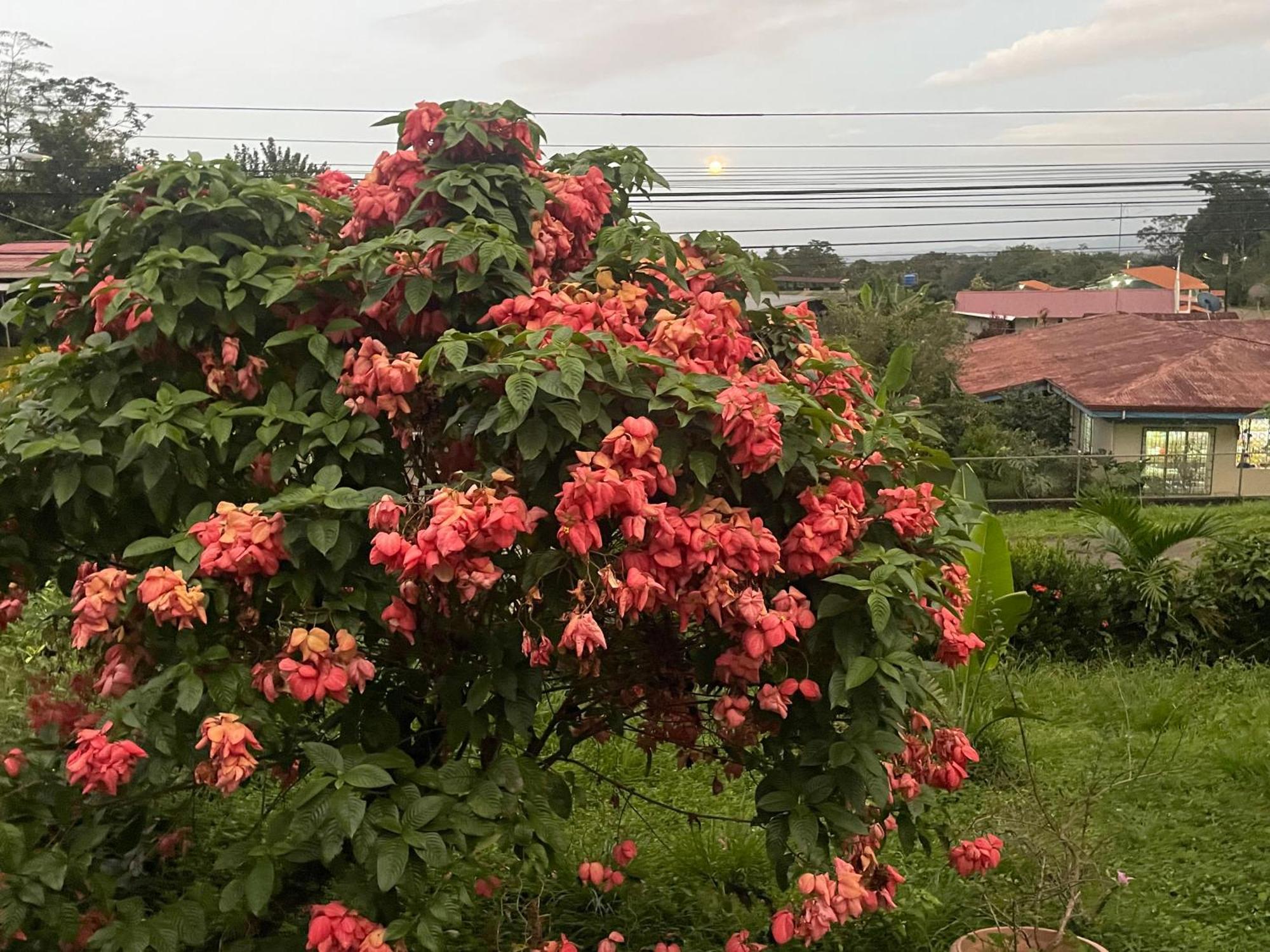 Tierra De Volcanes Hotel San Ramon (Alajuela)