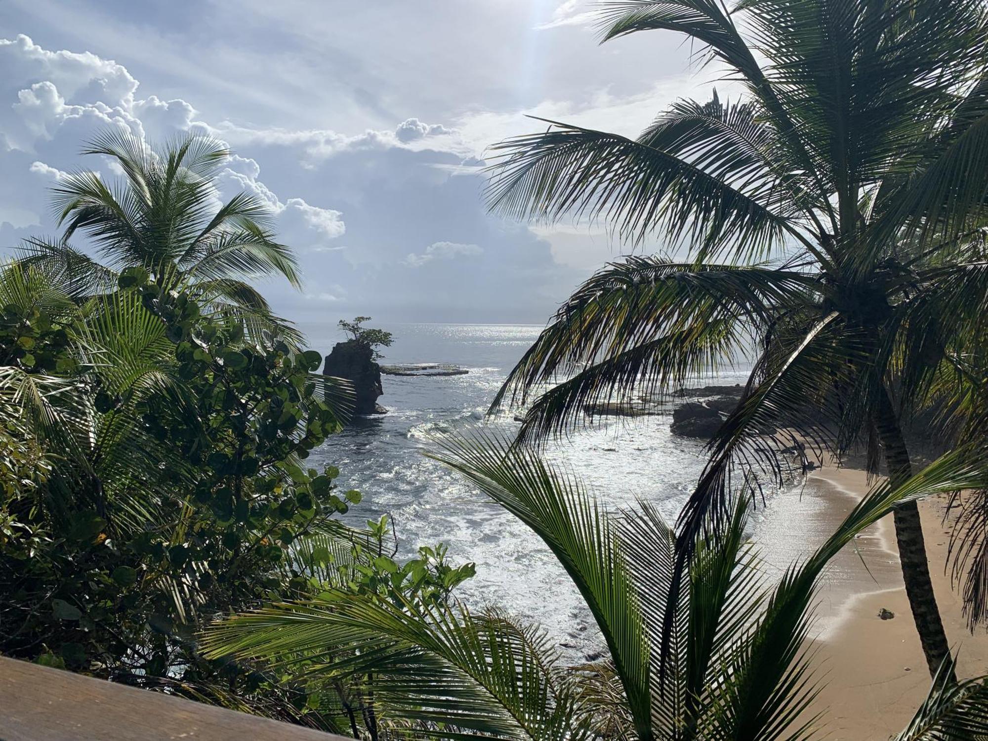 Pangea Tropical Vibe With Shared Pool Holiday home *