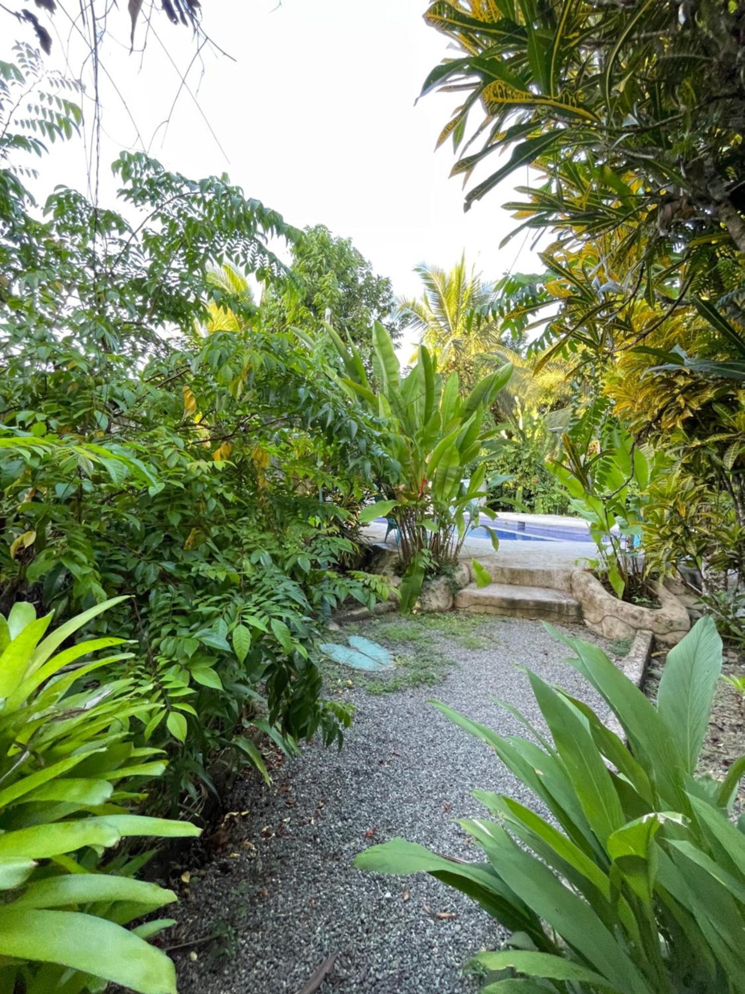 Holiday home Pangea Tropical Vibe With Shared Pool *