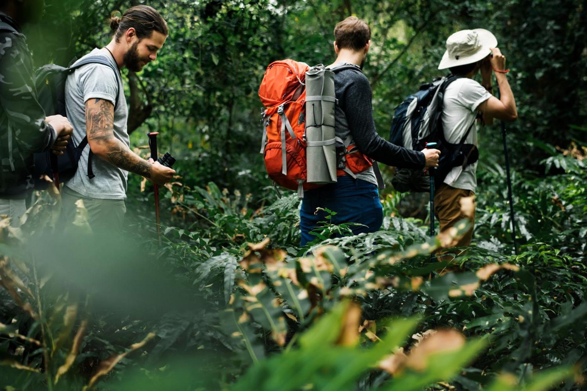 Lodge La Shamana - Ecological Concept In Jungle