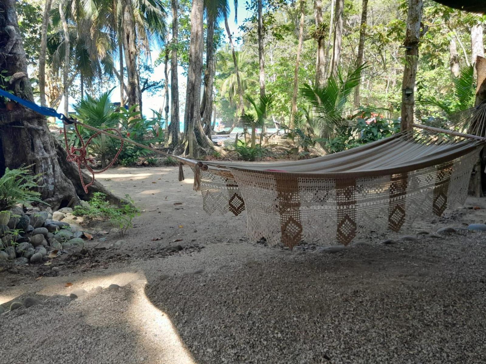 Beachfront *