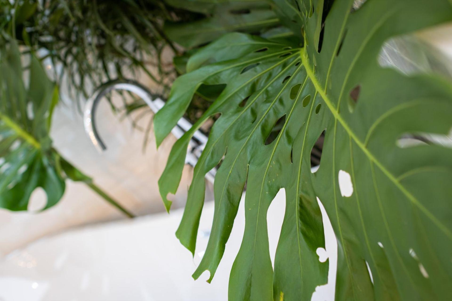 Hotel Le Cameleon Boutique 5*