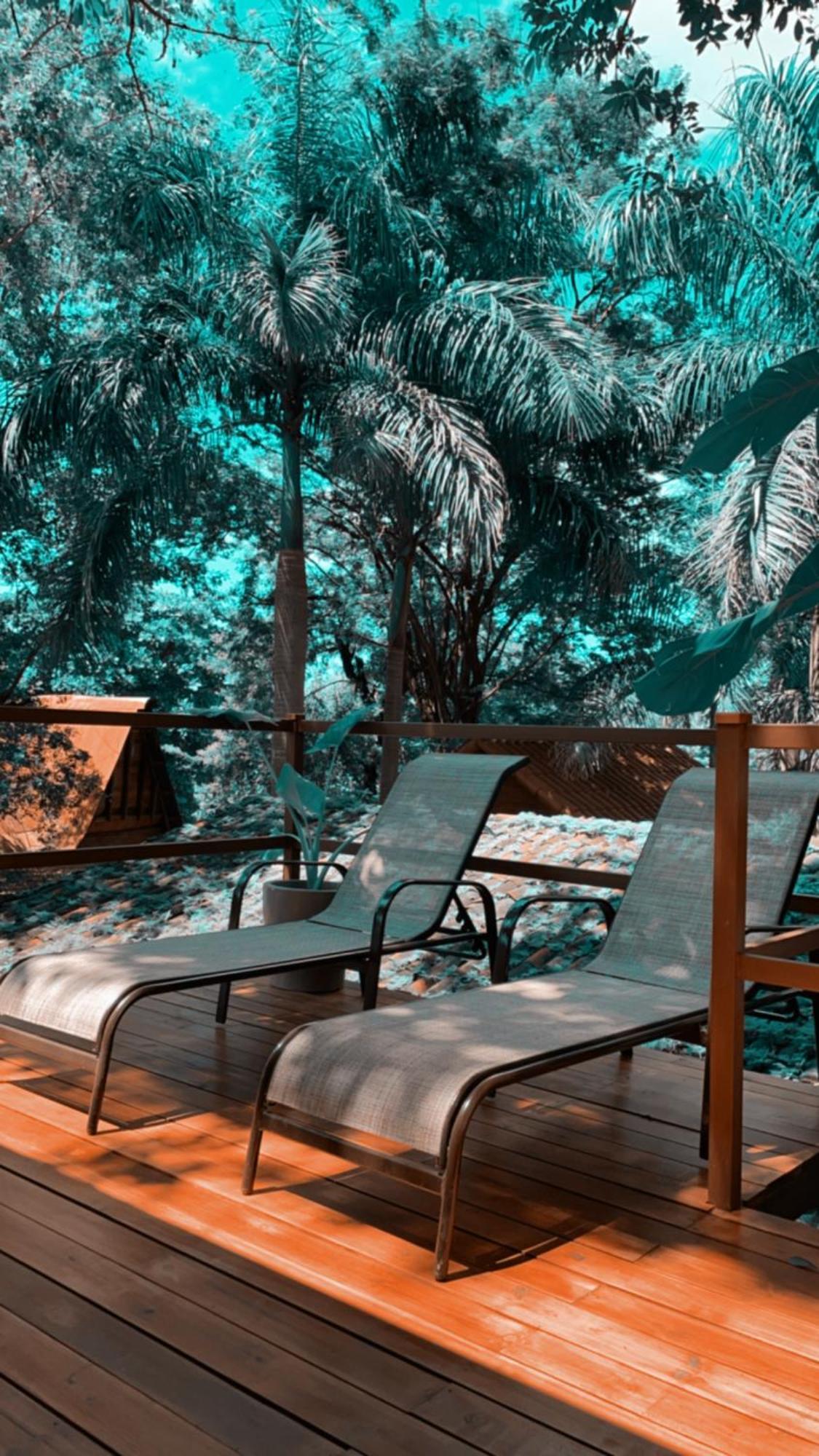 Bed & Breakfast The Beach Bungalows Tamarindo- Adults Only