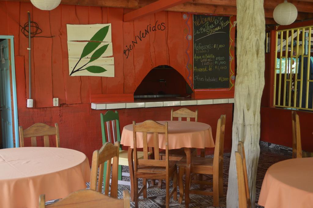 La Ballena Roja And Cafe