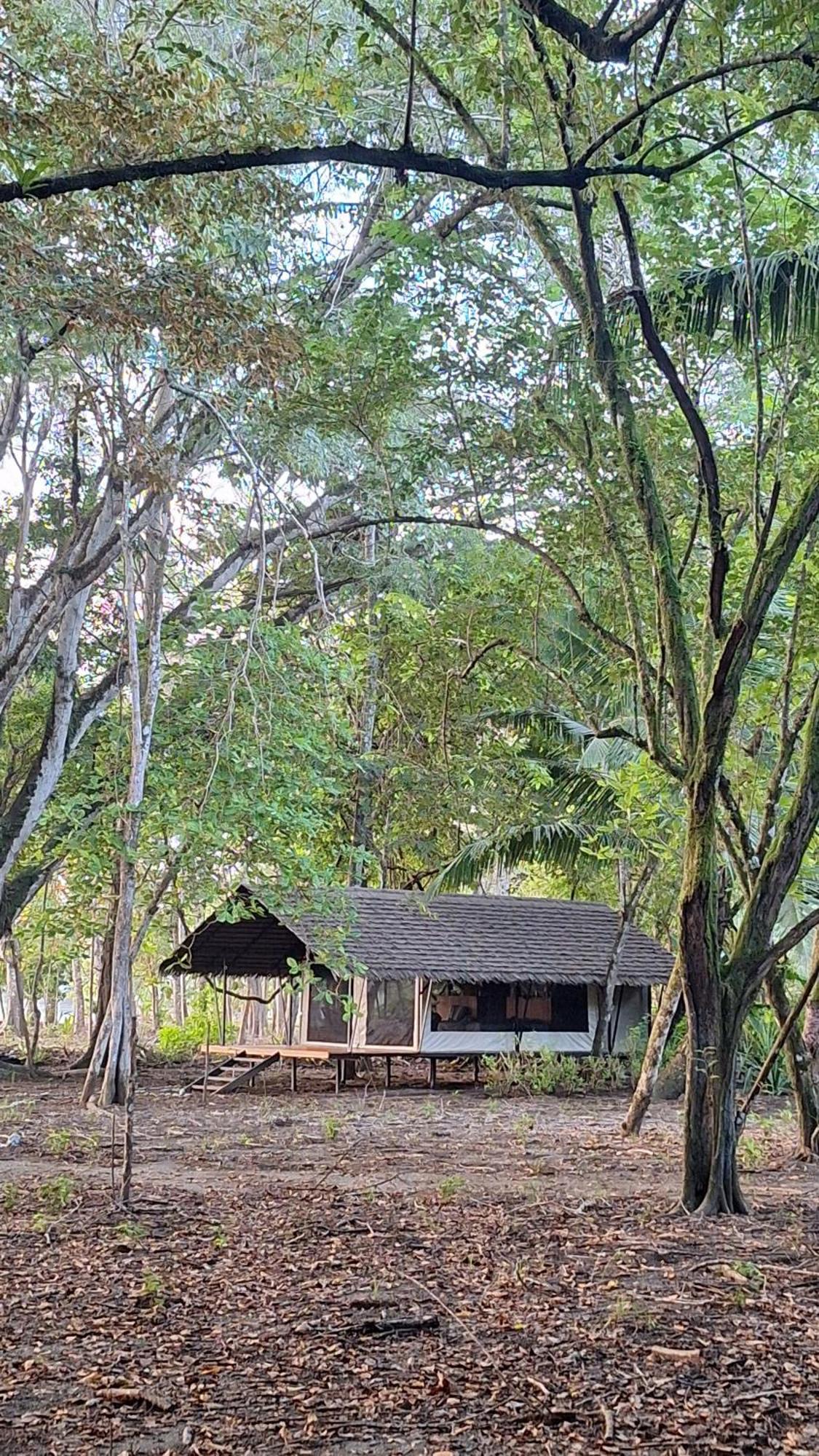Four Monkeys Eco - Jungle & Lodge Cabo Matapalo