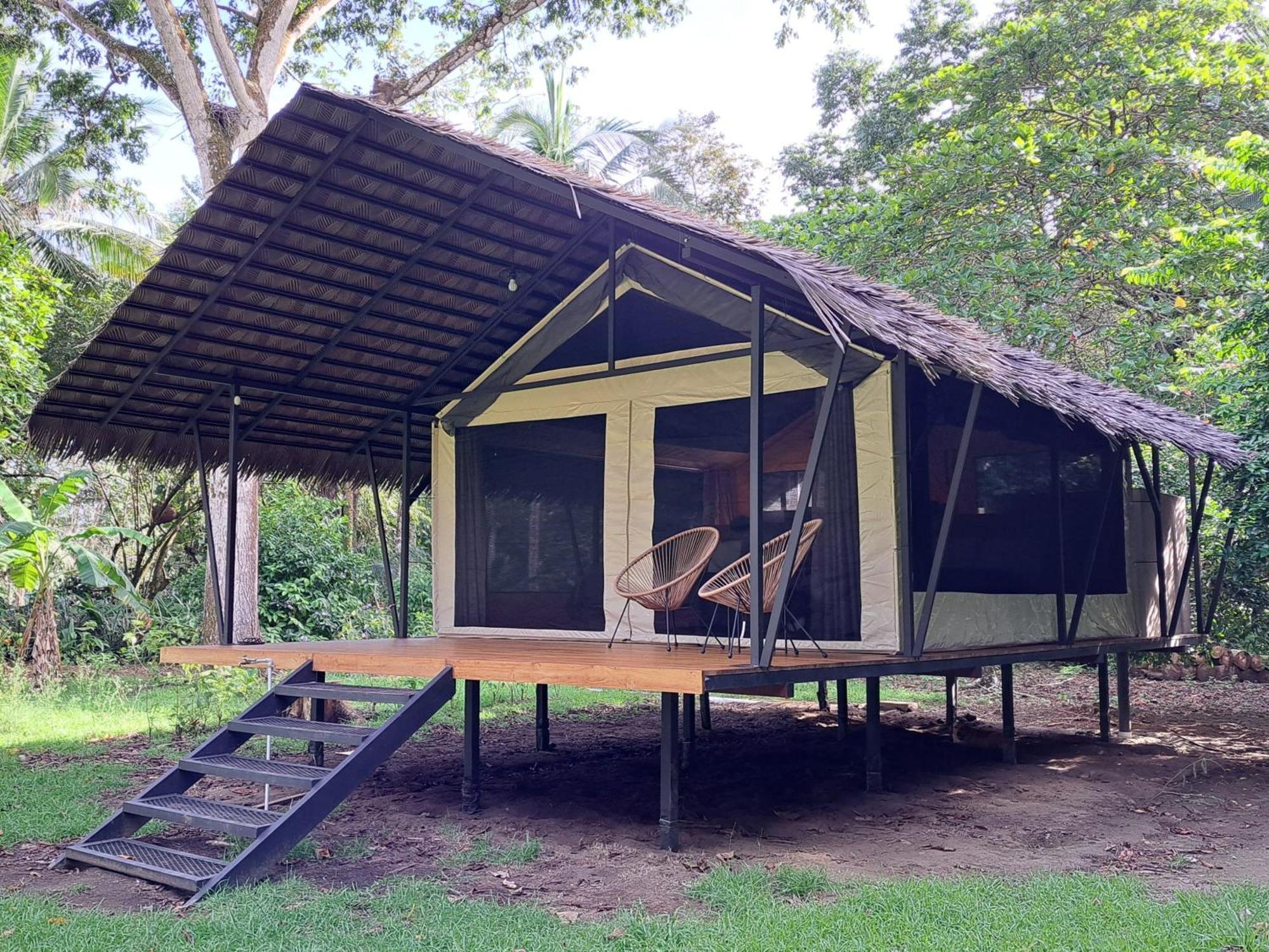 Four Monkeys Eco - Jungle & Lodge