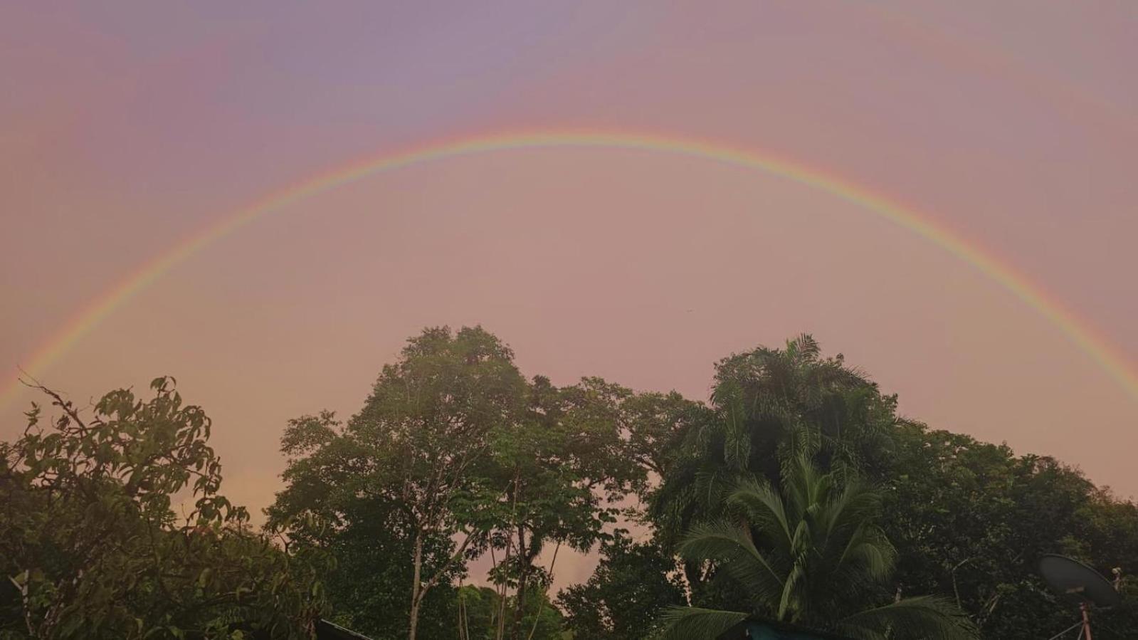 Ceiba Hotel *