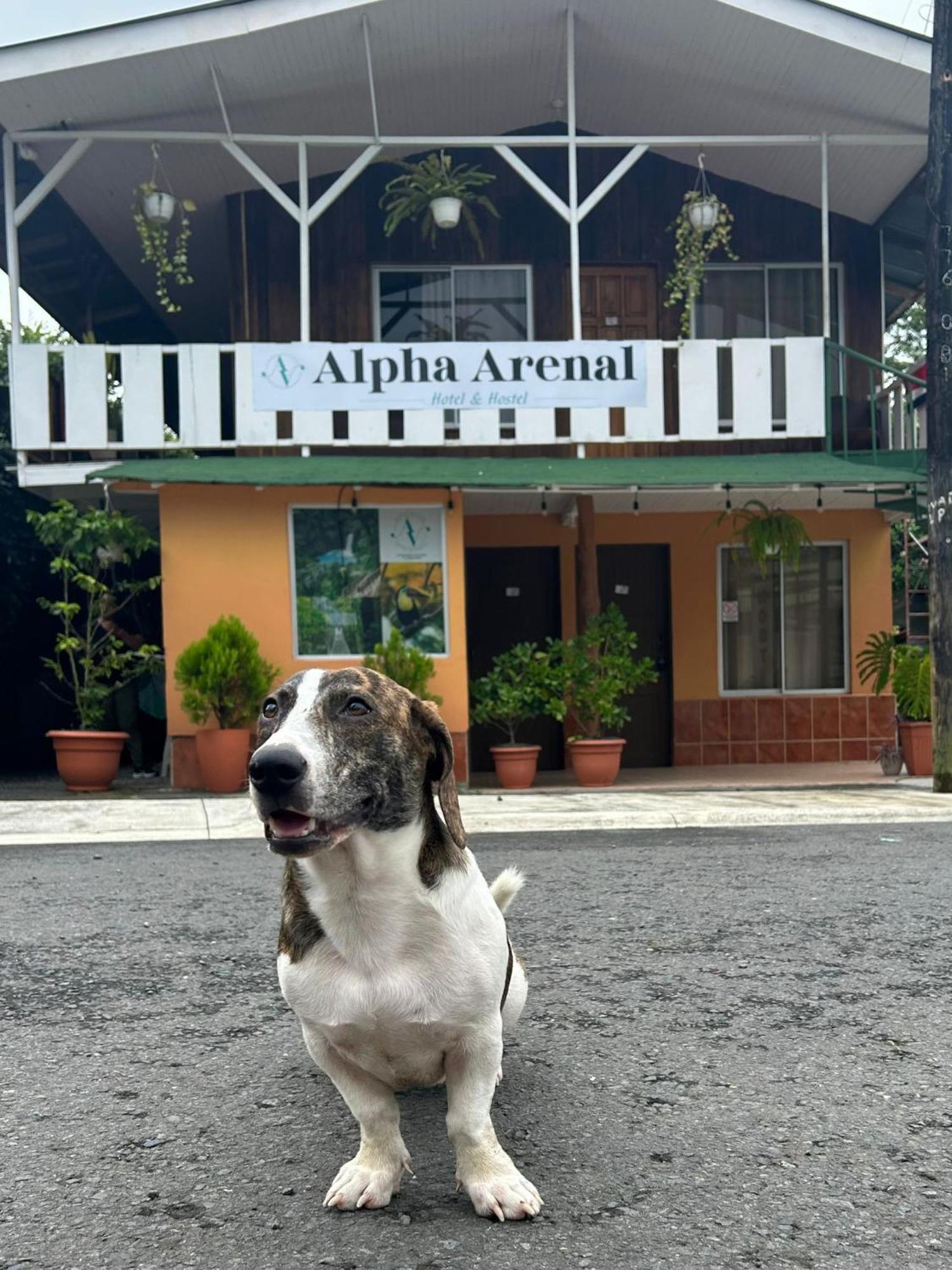 Alpha Arenal * La Fortuna