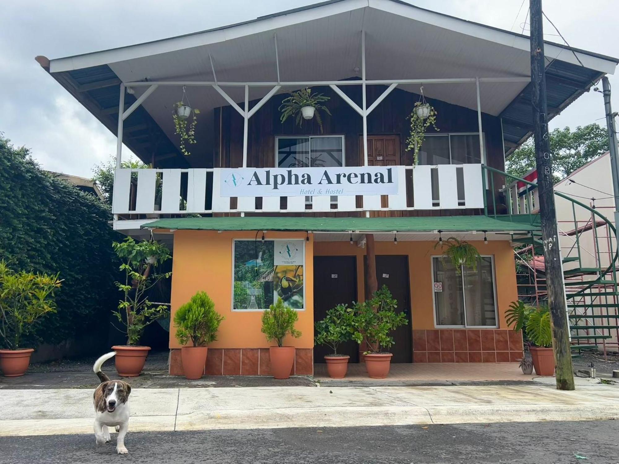 Hostel Alpha Arenal