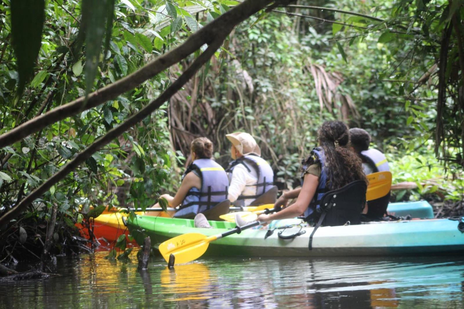 Evergreen Lodge Tortuguero