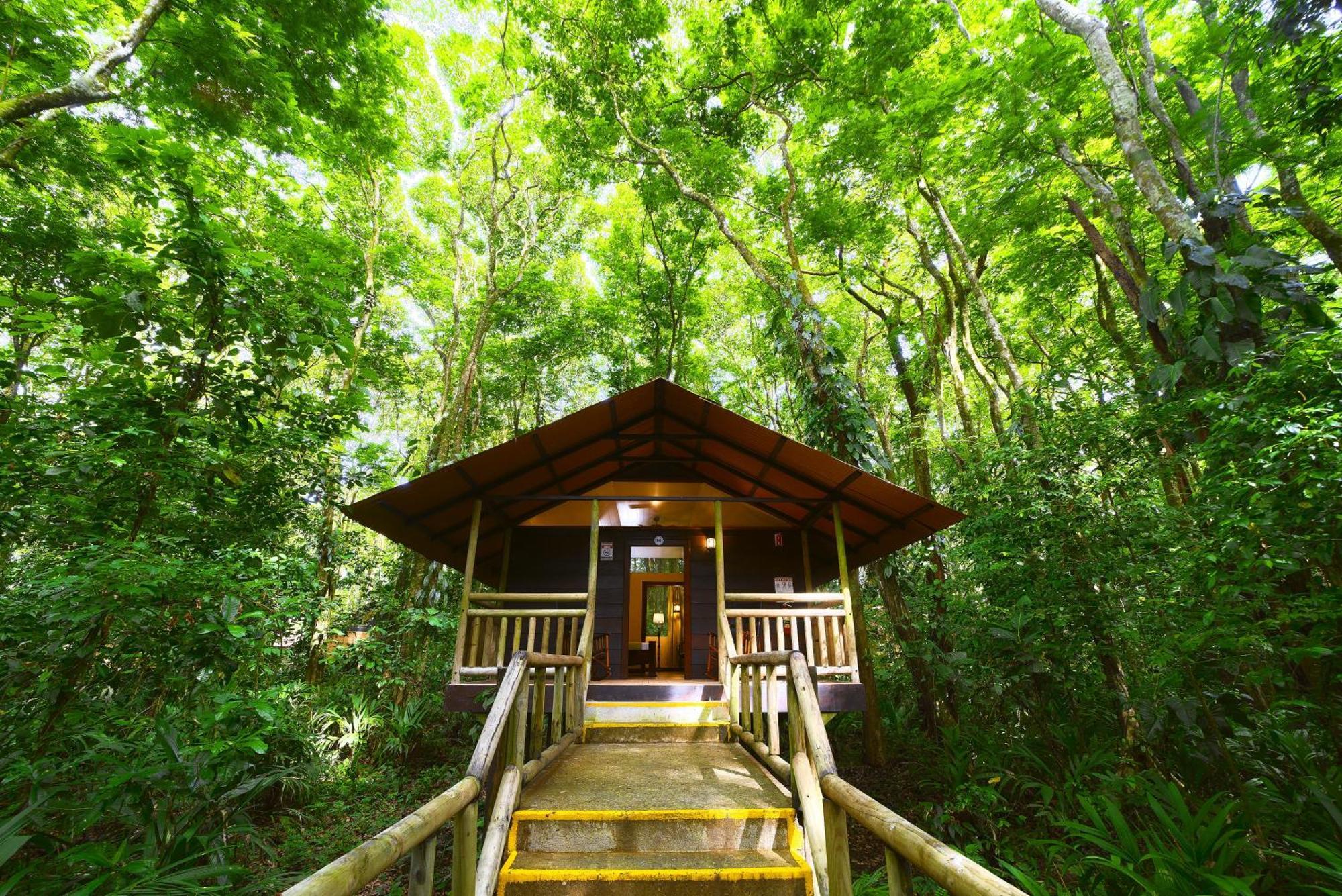 Evergreen * Tortuguero