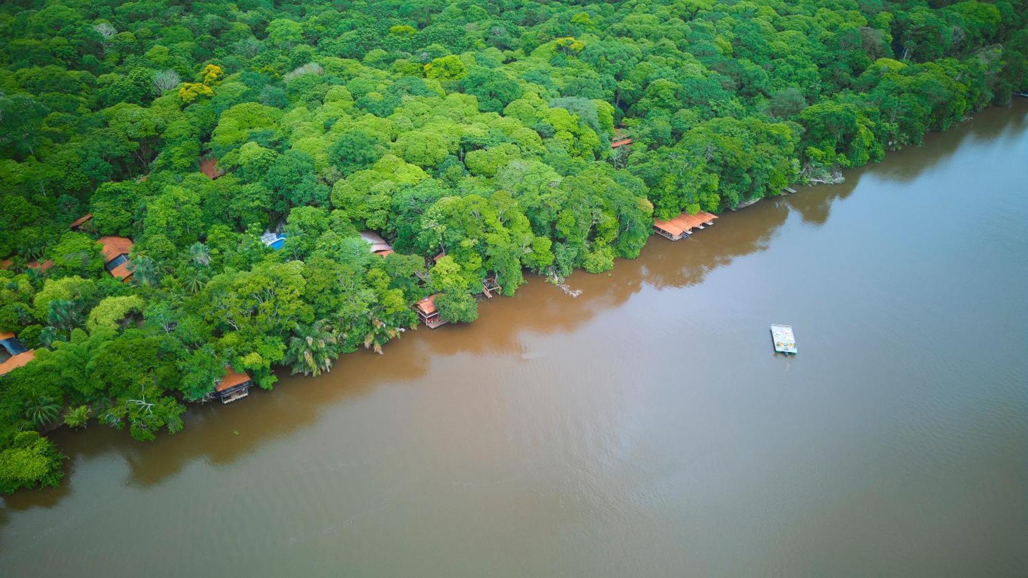 Evergreen Tortuguero