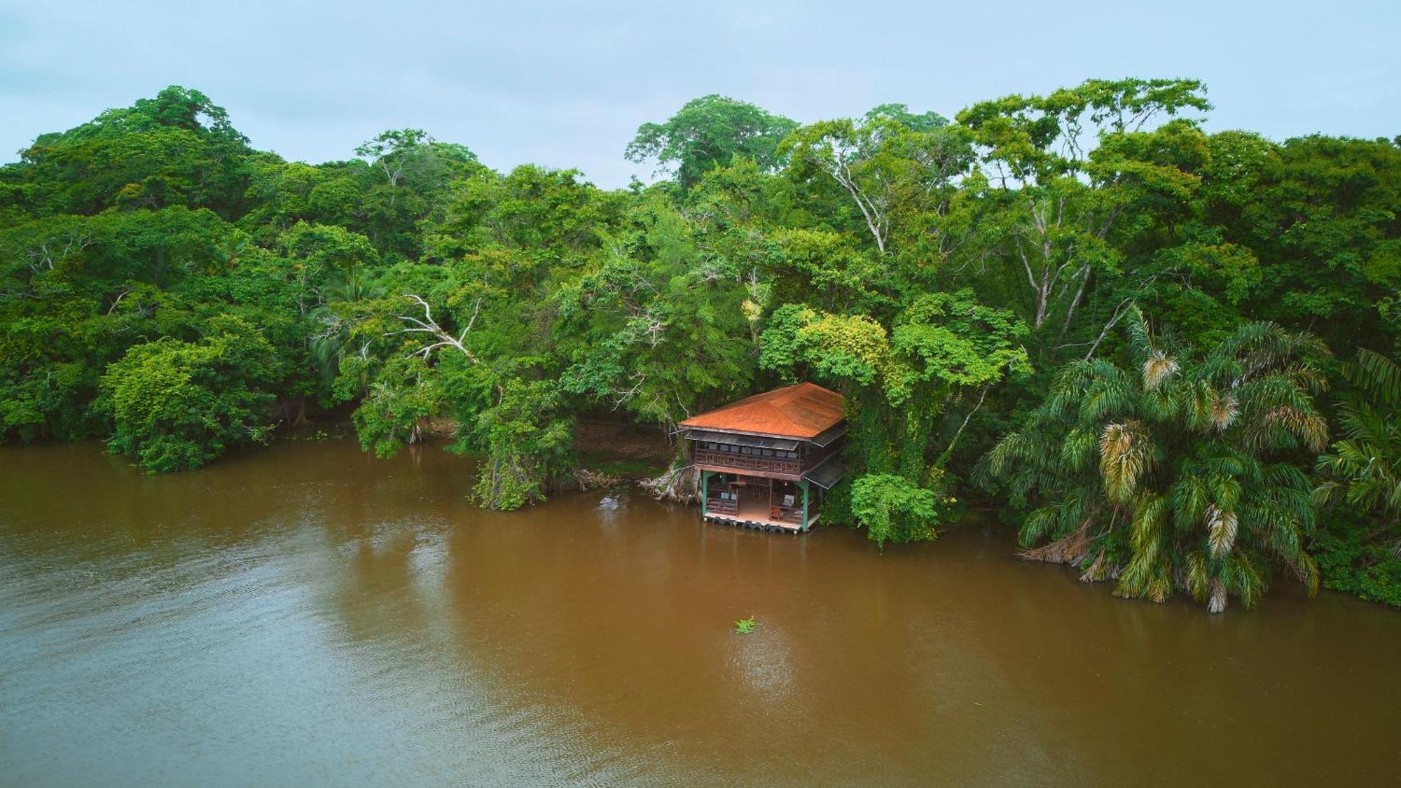 Evergreen * Tortuguero