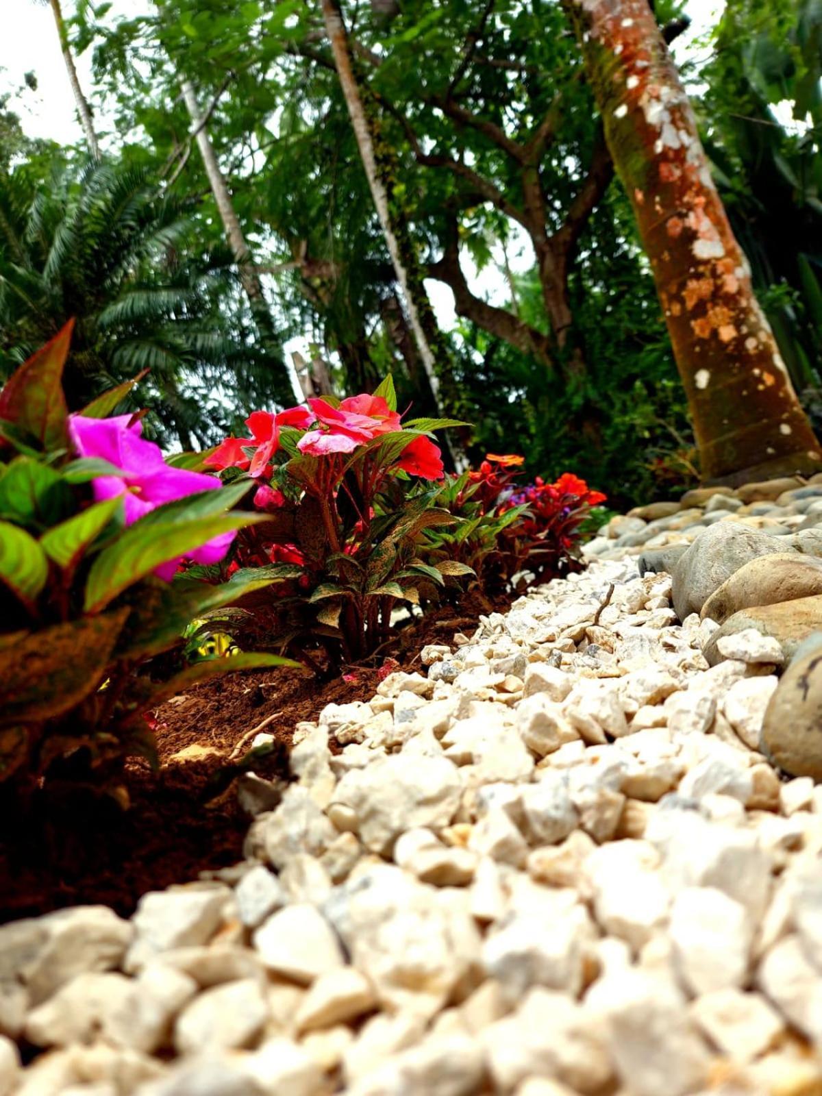 Diuwak Hotel Dominical
