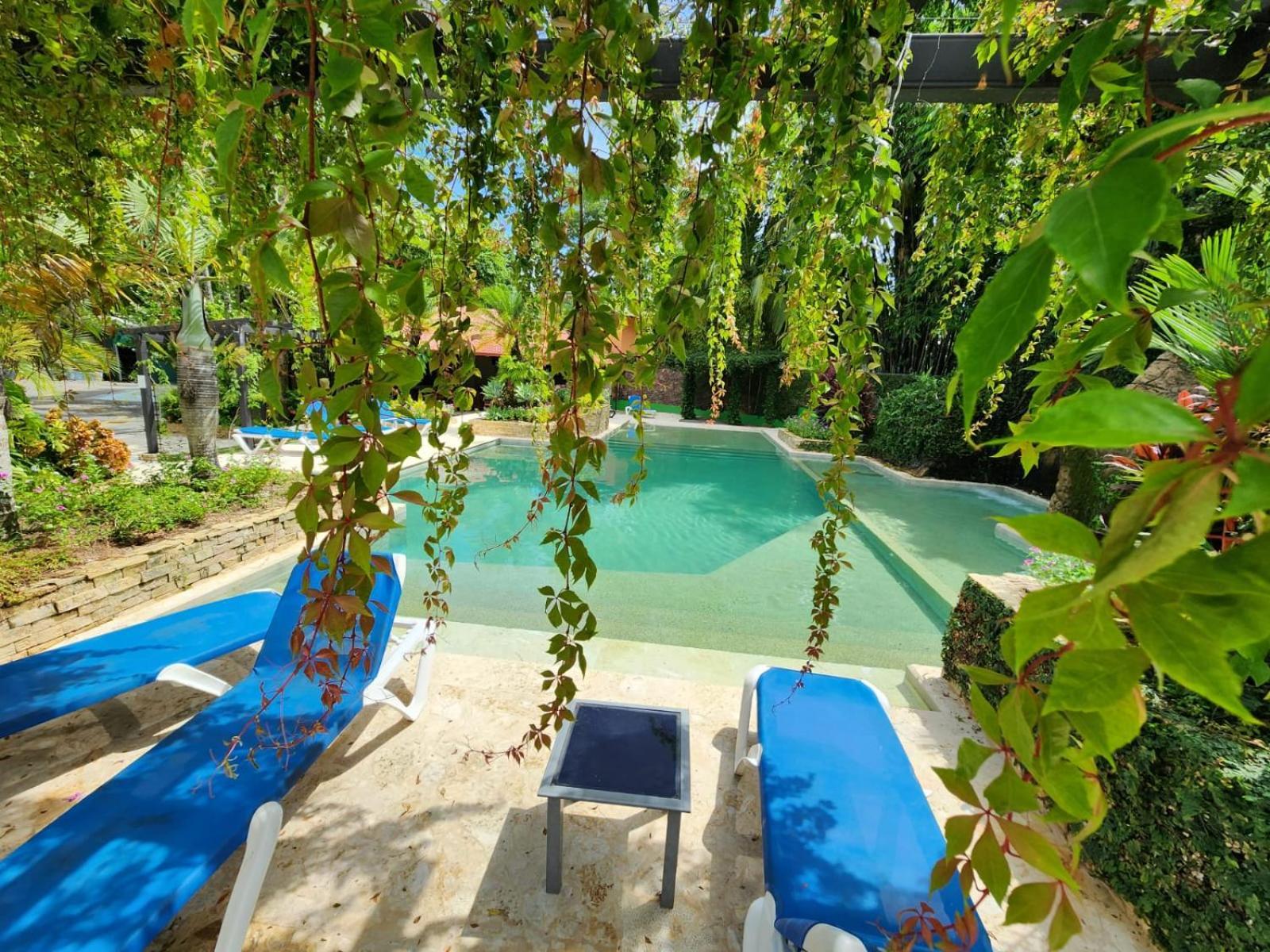 Hotel Diuwak Dominical