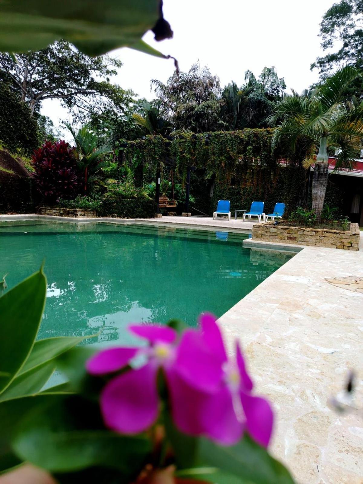 Hotel Diuwak Dominical
