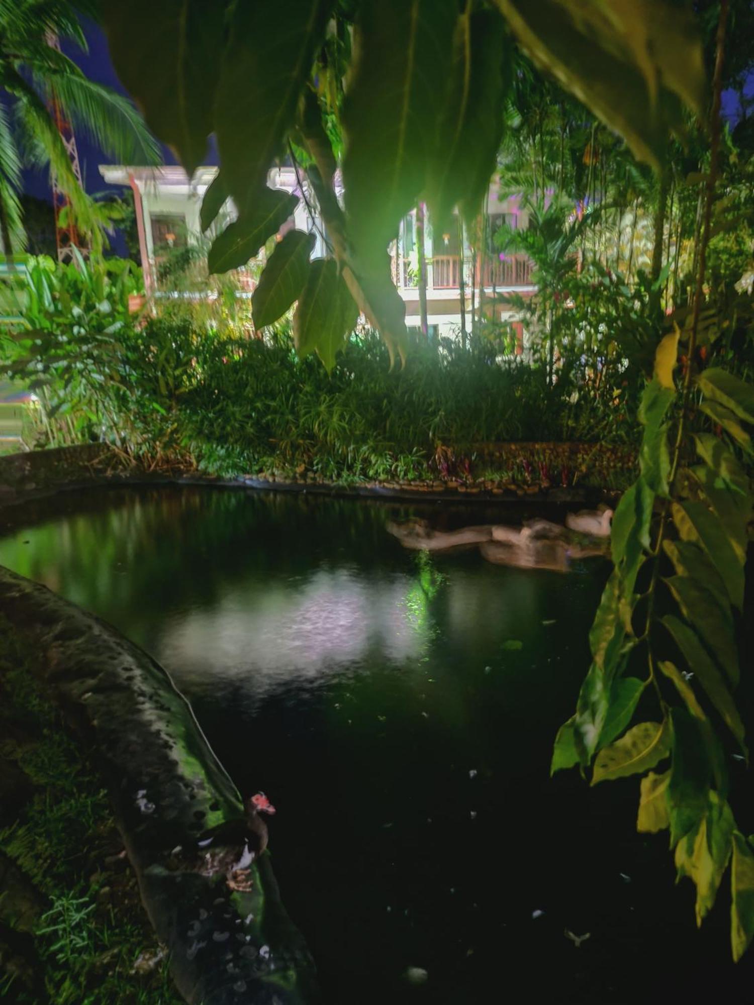 Hotel Diuwak 3*