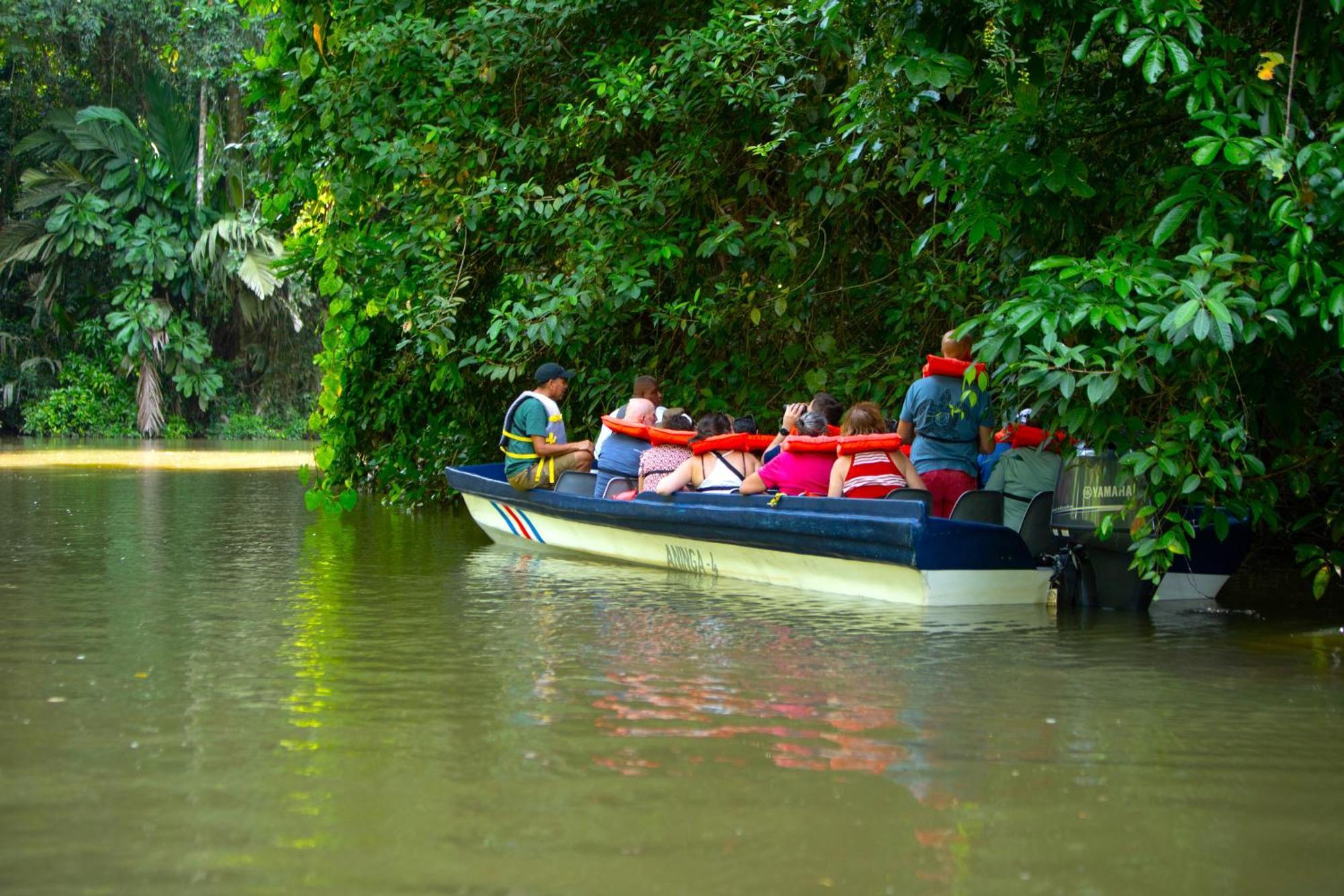 Aninga Tortuguero