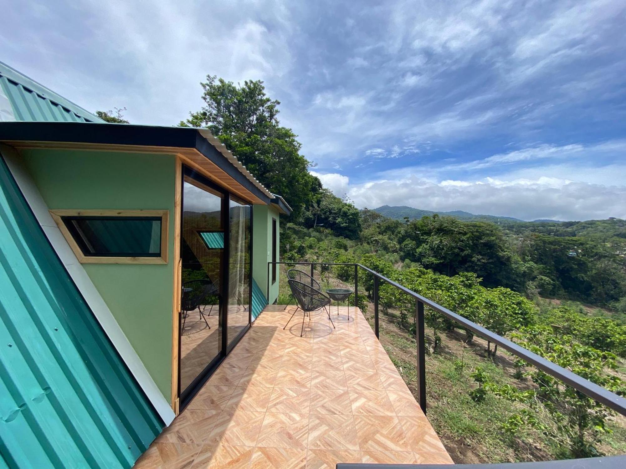 Tityra * Monteverde
