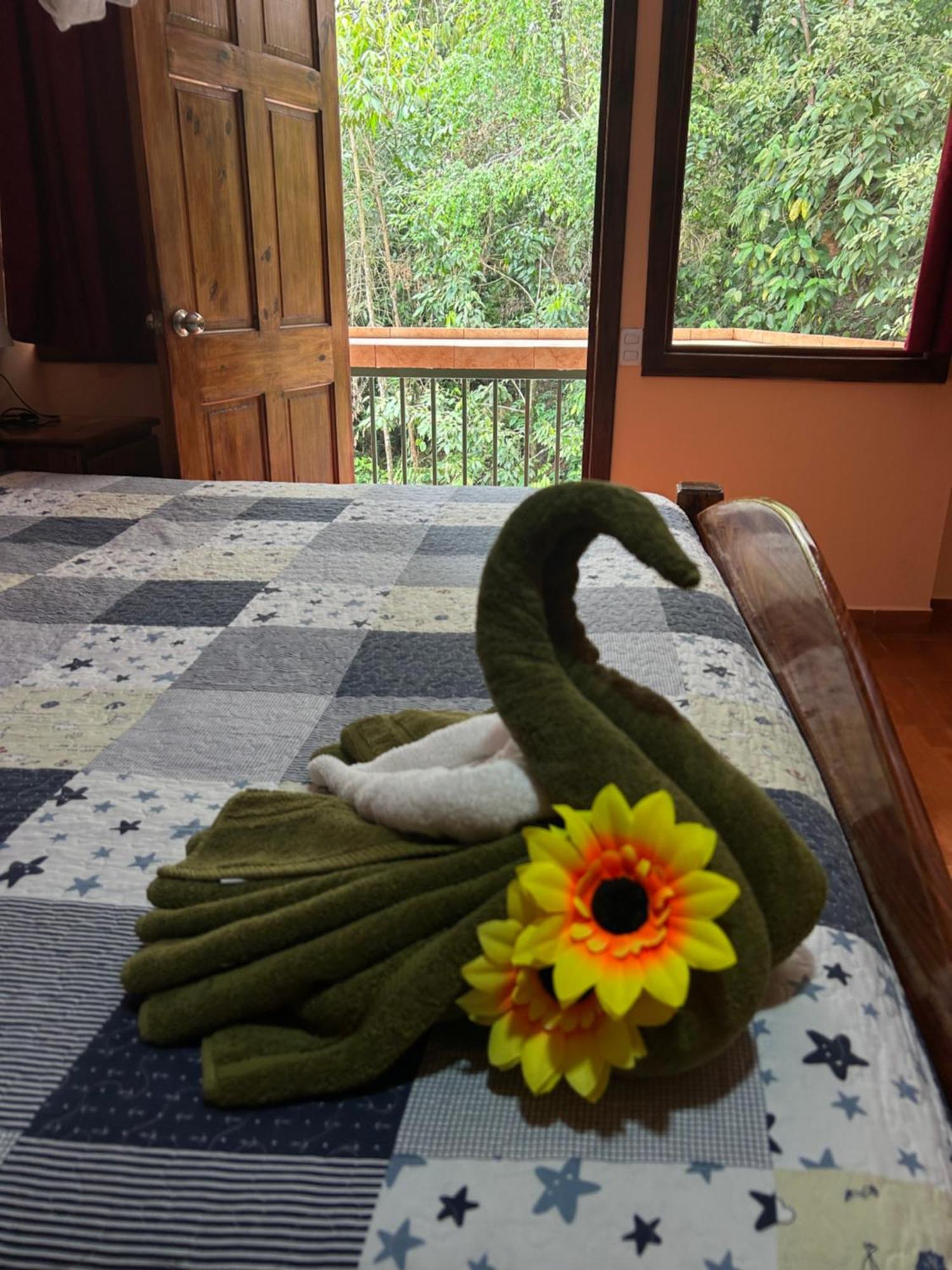 Ceiba