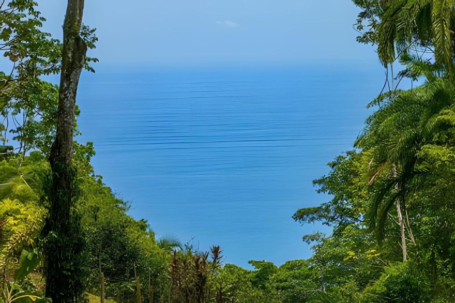 Private Jungle Sorrounded By Two Creeks