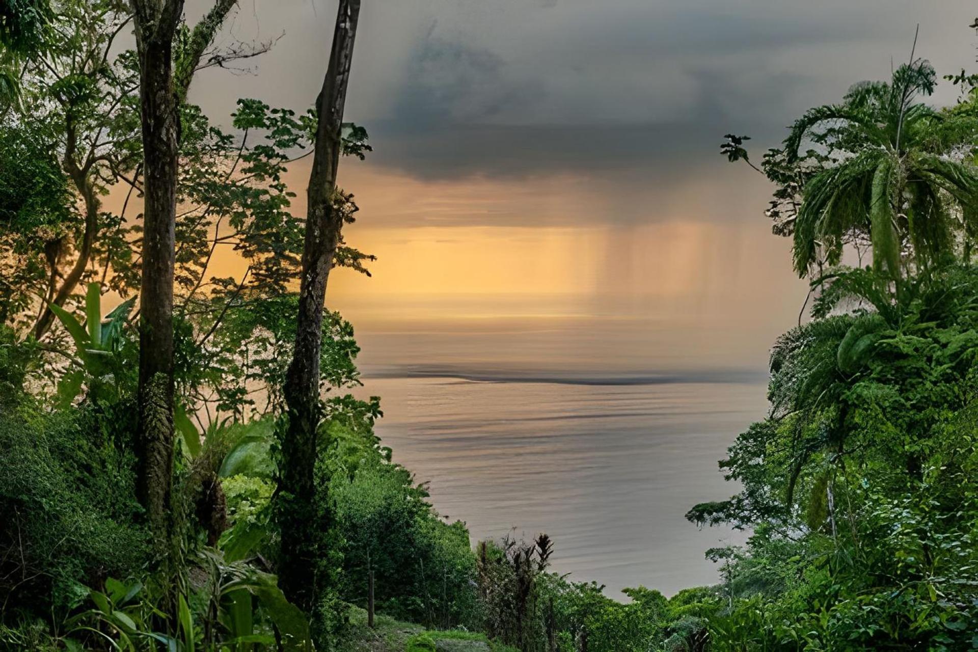 Resort Private Jungle Sorrounded By Two Creeks Dominicalito