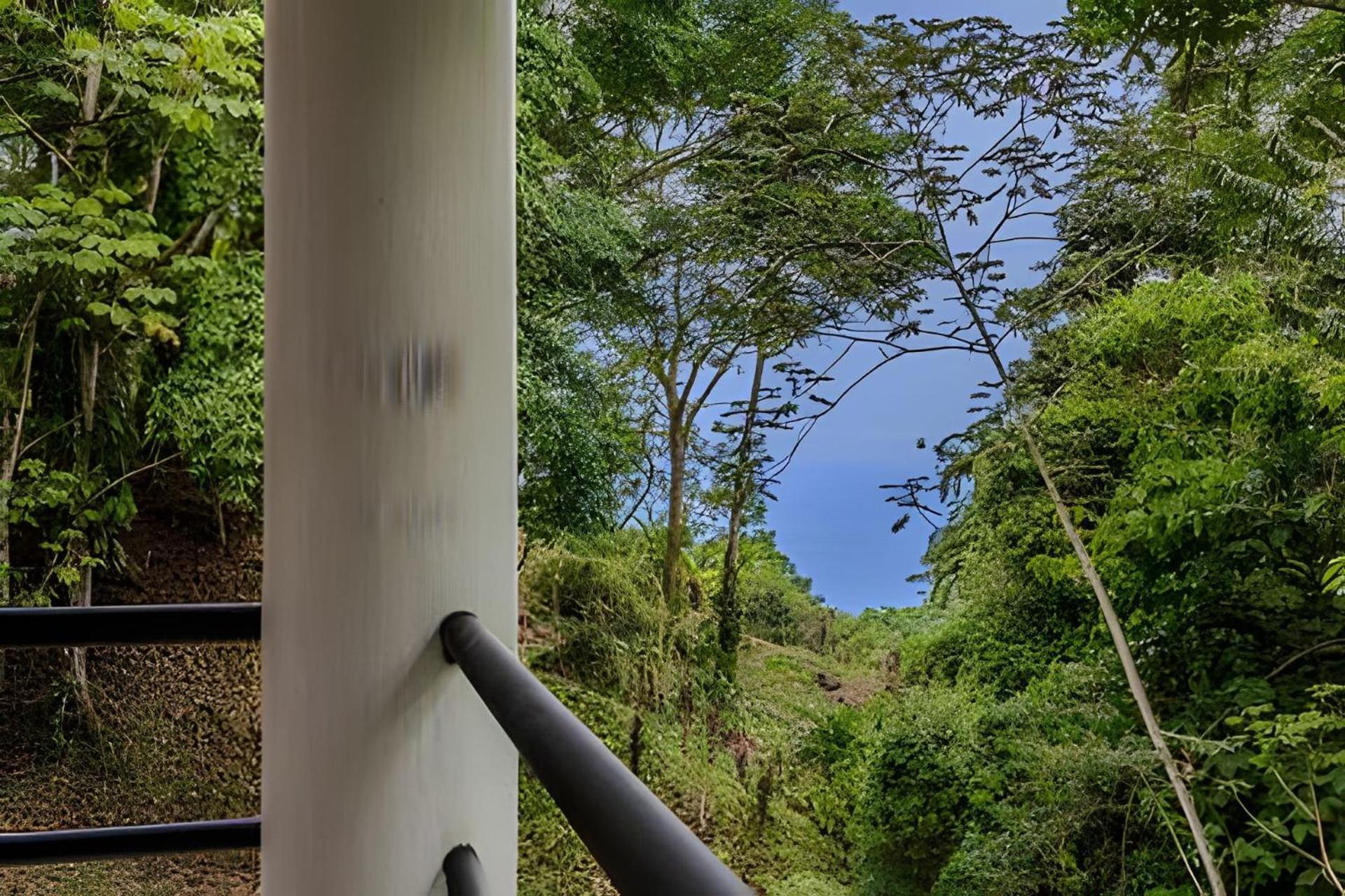 Private Jungle Sorrounded By Two Creeks Resort Dominicalito