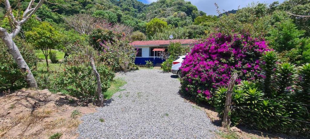 Glamping Monteverde