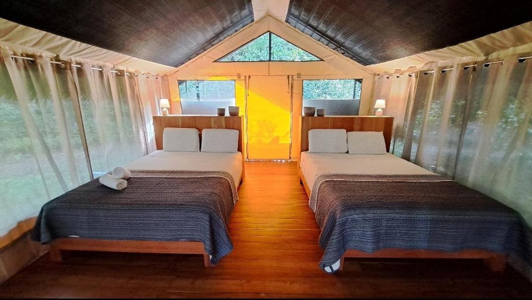 Lodge Four Monkeys Eco - Jungle & Cabo Matapalo