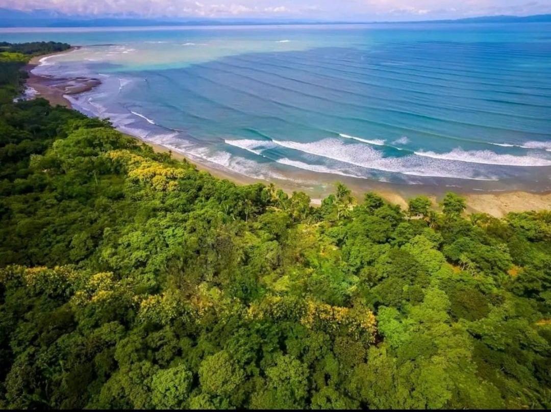 Four Monkeys Eco - Jungle & Cabo Matapalo