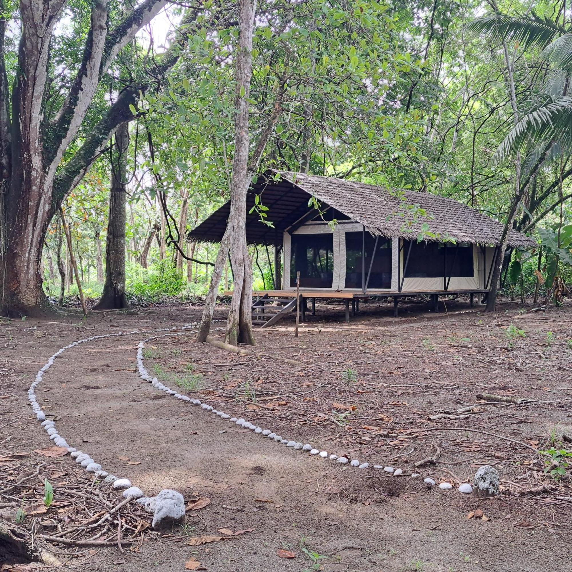 Four Monkeys Eco - Jungle & Lodge