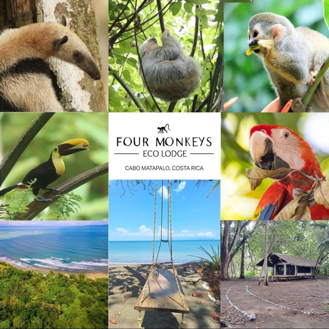 Four Monkeys Eco - Jungle & Lodge *