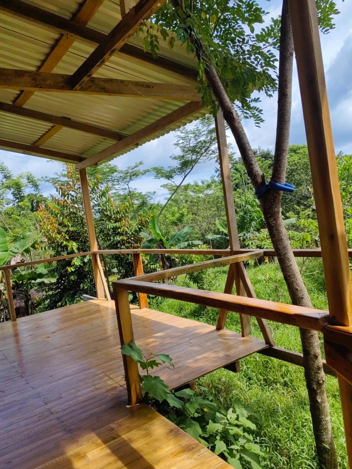 Onca Tours & Treehouses Katira