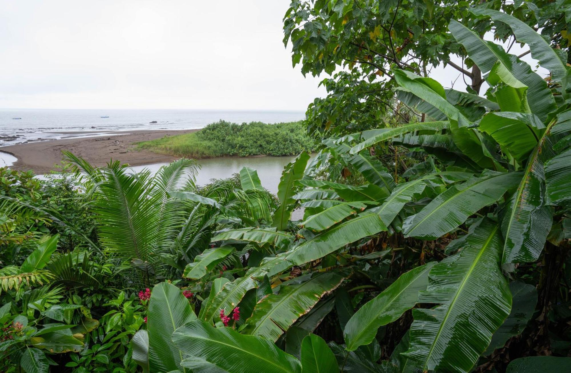 Pirate Cove Hotel 4*