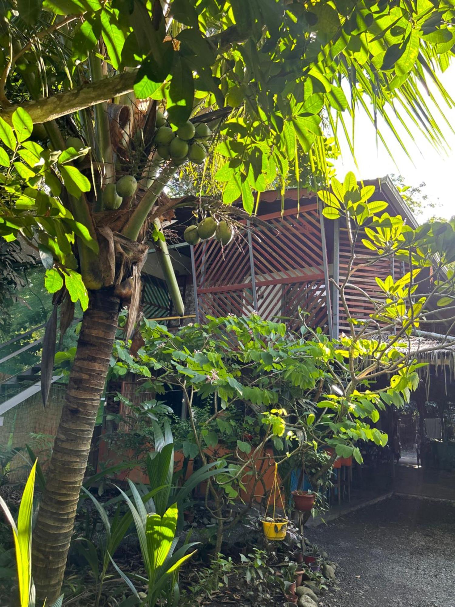 Organico Punta Riel *