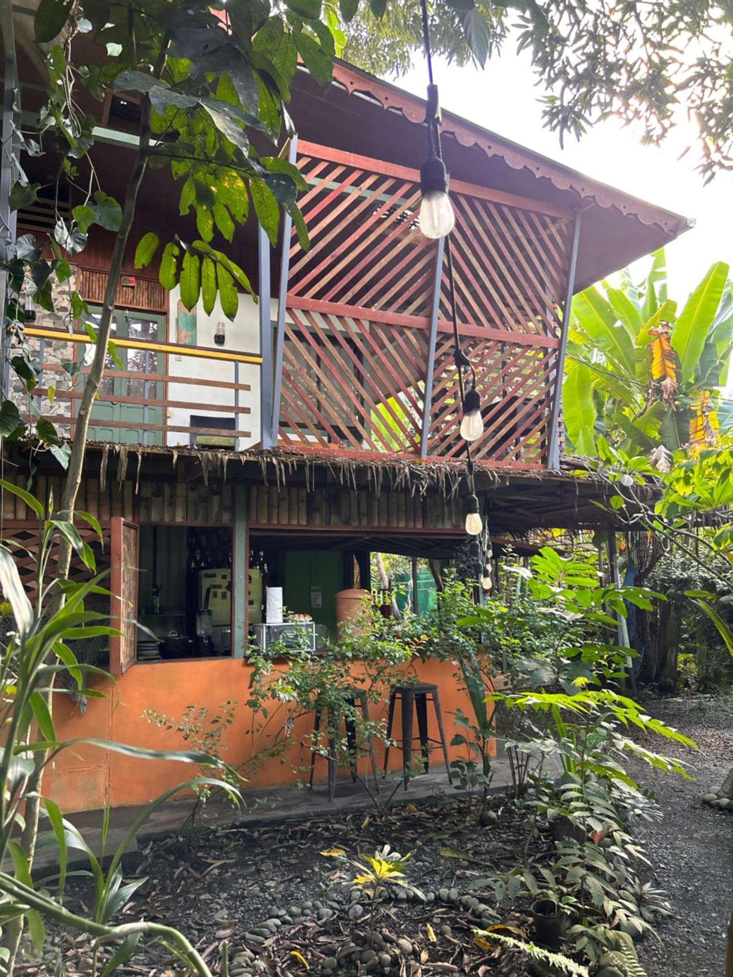 Guest house Organico Punta Riel *