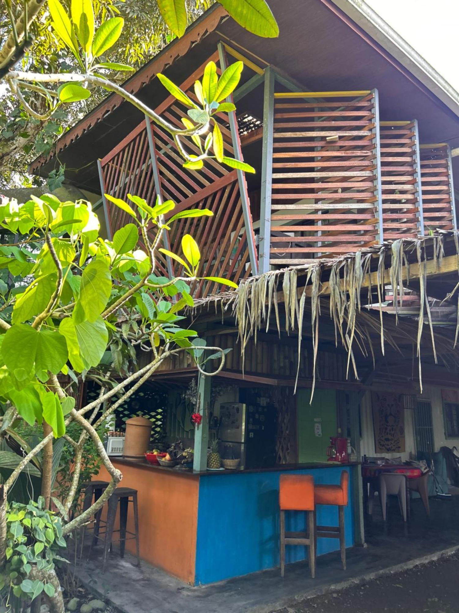 Organico Punta Riel
