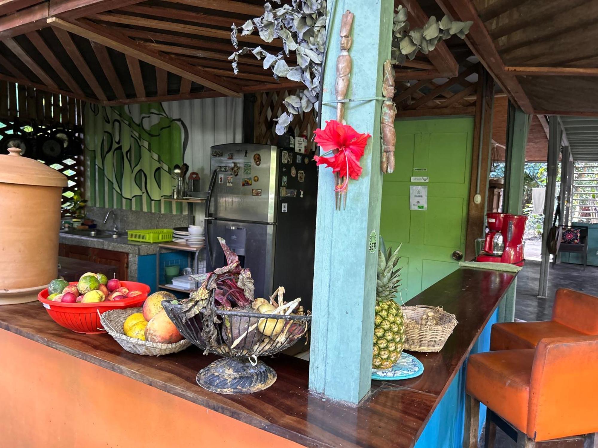 Guest house Organico Punta Riel